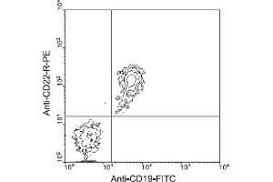 Flow Cytometry (FACS) image for anti-CD22 Molecule (CD22) antibody (PE) (ABIN370869) (CD22 Antikörper  (PE))