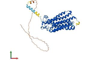Protein Structure (PS) image for Adiponectin Receptor 2 (ADIPOR2) (AA 1-386) protein (His tag) (ABIN7564411)