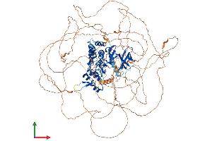 Protein Structure (PS) image for Homeodomain Interacting Protein Kinase 3 (HIPK3) (AA 1-1192) protein (His tag) (ABIN7565051)