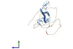 Protein Structure (PS) image for Tripartite Motif Containing 8 (TRIM8) (AA 1-551) protein (His tag) (ABIN7544592)