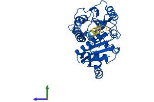 AlphaFold protein structure predicition of Mouse Recombinant Gnpda1 Protein, UniprotID O88958 (GNPDA1 Protein (AA 1-289) (His tag))