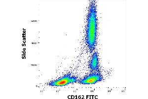 Flow cytometry surface staining pattern of human peripheral whole blood stained using anti-human CD162 (TC2) FITC antibody (20 μL reagent / 100 μL of peripheral whole blood). (SELPLG Antikörper  (FITC))