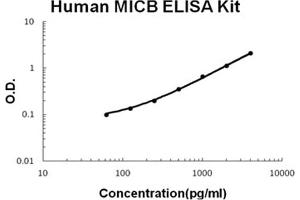 Human MICB Accusignal ELISA Kit Human MICB AccuSignal ELISA Kit standard curve.