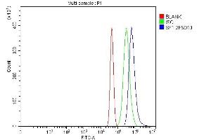Flow Cytometry analysis of Neuro-2a cells using anti-splicing factor 1 antibody (ABIN7600193).