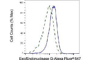 Validation of Exo/Endonuclease G knockdown using flow cytometry. (Rekombinanter EXOG Antikörper)