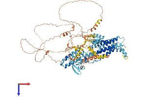 PHTF2 Protein (AA 1-785) (His tag)