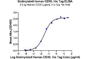 TNFRSF8 Protein (AA 19-379) (His-Avi Tag,Biotin)