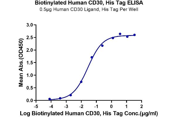 TNFRSF8 Protein (AA 19-379) (His-Avi Tag,Biotin)