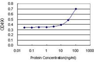 Sandwich ELISA detection sensitivity ranging from 10 ng/mL to 100 ng/mL. (IFNAR1 (Human) Matched Antibody Pair)