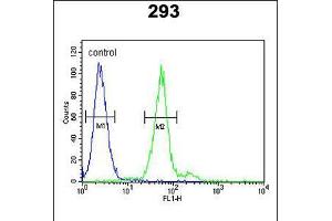 Flow cytometric analysis of 293 cells (right histogram) compared to a negative control cell (left histogram). (TPSAB1 Antikörper  (AA 61-87))