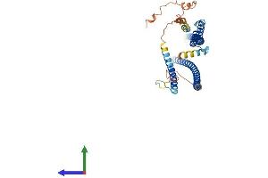 Protein Structure (PS) image for Rab Interacting Lysosomal Protein-Like 1 (RILPL1) (AA 1-403) protein (His tag) (ABIN7551399)