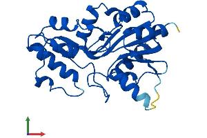 Protein Structure (PS) image for Phosphatase, Orphan 2 (PHOSPHO2) (AA 1-241) protein (His tag) (ABIN7550684)
