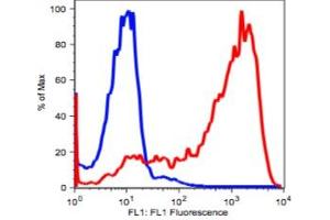 Image no. 2 for anti-CD7 (CD7) antibody (ABIN2704319) (CD7 Antikörper)