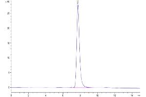 The purity of Human TEM7R is greater than 95 % as determined by SEC-HPLC. (PLXDC2 Protein (AA 31-454) (His tag))