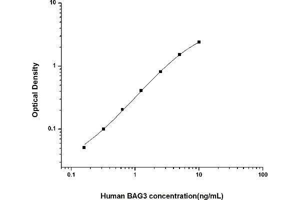 BAG3 ELISA Kit