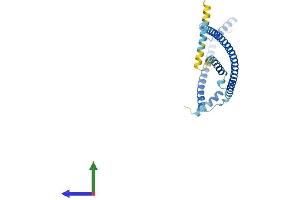 Protein Structure (PS) image for HAUS Augmin-Like Complex, Subunit 1 (HAUS1) (AA 1-278) protein (His tag) (ABIN7558663)