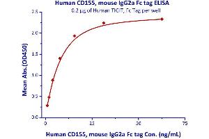 Image no. 3 for Poliovirus Receptor (PVR) (AA 21-343) (Active) protein (Fc Tag) (ABIN4949085)