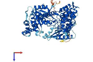 GNPAT Protein (AA 1-678) (His tag)