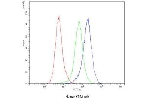 Flow Cytometry (FACS) image for anti-Caspase 3 (CASP3) (AA 67-175) antibody (ABIN3030302)