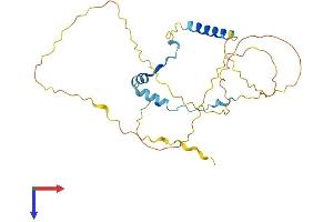 CCDC117 Protein (AA 1-279) (His tag)