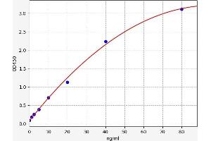 FBLN3 ELISA Kit