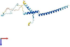 PDAP1 Protein (AA 1-181) (His tag)