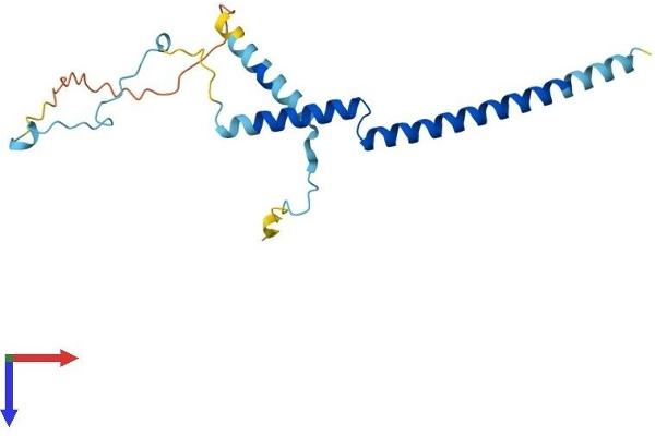 PDAP1 Protein (AA 1-181) (His tag)