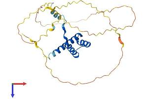 HOXC9 Protein (AA 1-260) (His tag)