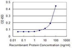 Detection limit for recombinant GST tagged GSTT1 is 3 ng/ml as a capture antibody. (GSTT1 Antikörper  (AA 1-240))