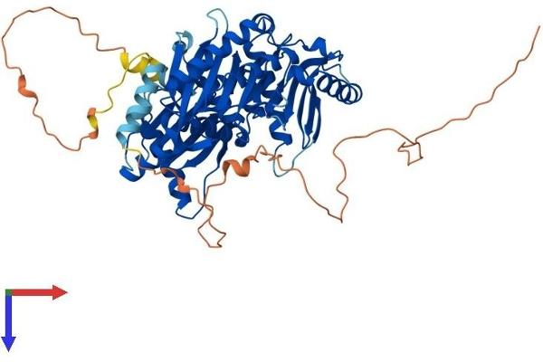 MON1A Protein (AA 1-556) (His tag)