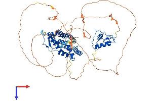 NR4A3 Protein (AA 1-626) (His tag)