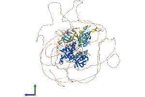AlphaFold protein structure predicition of Human Recombinant PASK Protein, UniprotID Q96RG2 (PASK Protein (AA 1-1323) (His tag))