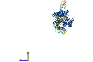 Protein Structure (PS) image for G Protein-Coupled Receptor 173 (GPR173) (AA 1-373) protein (His tag) (ABIN7548155)