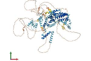 AlphaFold protein structure predicition of Human Recombinant ZNF618 Protein, UniprotID Q5T7W0
