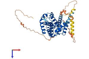 CCNJL Protein (AA 1-387) (His tag)