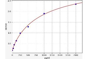 Chemokine (C-C Motif) Ligand 17 (CCL17) ELISA Kit