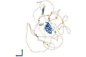 Ataxin 1 Protein (ATXN1) (AA 1-815) (His tag)