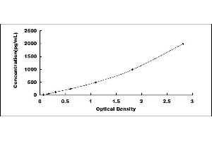 Typical standard curve (WNT7A ELISA Kit)