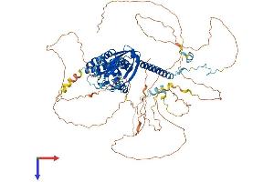 RNF10 Protein (AA 1-811) (His tag)