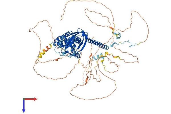 RNF10 Protein (AA 1-811) (His tag)