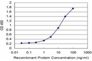 Detection limit for recombinant GST tagged DCK is approximately 0. (DCK Antikörper  (AA 161-260))