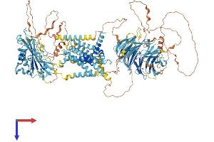 SREBF chaperone Protein (SCAP) (AA 1-1276) (His tag)
