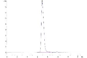 Size-exclusion chromatography-High Pressure Liquid Chromatography (SEC-HPLC) image for Trophoblast Glycoprotein (TPBG) (AA 32-355) protein (His-Avi Tag) (ABIN7273784)