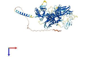 TMPRSS7 Protein (AA 1-843) (His tag)
