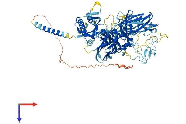 TMPRSS7 Protein (AA 1-843) (His tag)