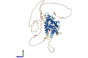 Protein Structure (PS) image for Nuclear Receptor Subfamily 4, Group A, Member 1 (NR4A1) (AA 1-601) protein (His tag) (ABIN7562854)