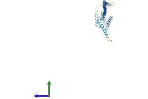 Protein Structure (PS) image for Leucine Zipper Transcription Factor-Like 1 (LZTFL1) (AA 1-299) protein (His tag) (ABIN7549186)