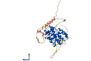 AlphaFold protein structure predicition of Human Recombinant CCNA2 Protein, UniprotID P20248