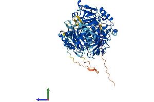 Protein Structure (PS) image for Acyl-CoA Synthetase Short-Chain Family Member 2 (ACSS2) (AA 1-701) protein (His tag) (ABIN7551831)