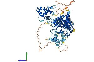 Protein Structure (PS) image for MUS81 Endonuclease Homolog (MUS81) (AA 1-551) protein (His tag) (ABIN7564831)